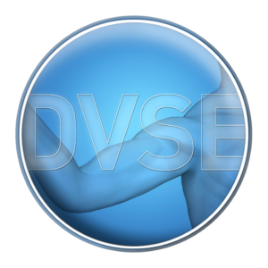 DVSE Zertifizierung